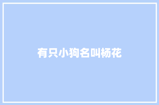 有只小狗名叫杨花
