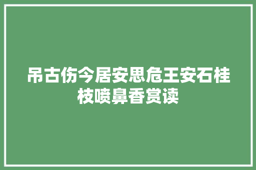 吊古伤今居安思危王安石桂枝喷鼻香赏读