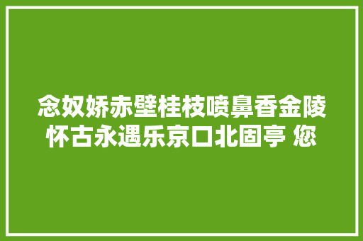 念奴娇赤壁桂枝喷鼻香金陵怀古永遇乐京口北固亭 您最喜哪一首