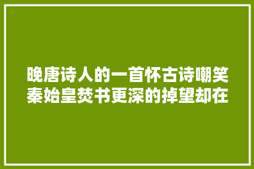 晚唐诗人的一首怀古诗嘲笑秦始皇焚书更深的掉望却在等着他