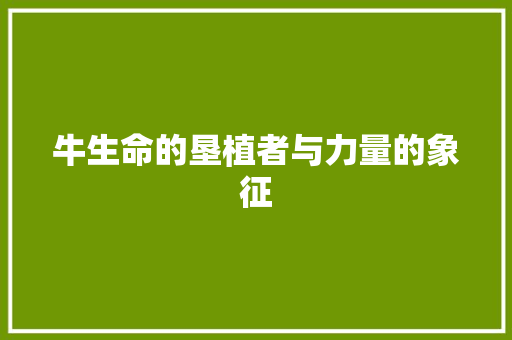 牛生命的垦植者与力量的象征