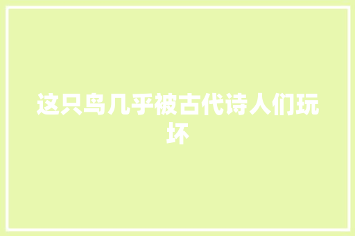 这只鸟几乎被古代诗人们玩坏