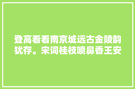 登高看看南京城远古金陵韵犹存。宋词桂枝喷鼻香王安石朗读