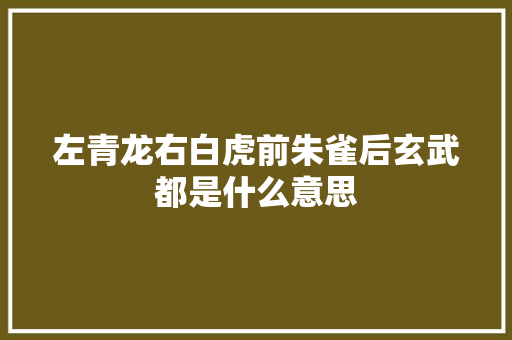 左青龙右白虎前朱雀后玄武都是什么意思