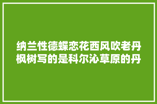 纳兰性德蝶恋花西风吹老丹枫树写的是科尔沁草原的丹枫