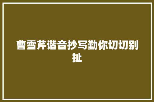 曹雪芹谐音抄写勤你切切别扯