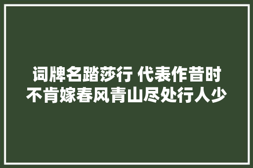 词牌名踏莎行 代表作昔时不肯嫁春风青山尽处行人少
