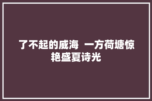 了不起的威海  一方荷塘惊艳盛夏诗光