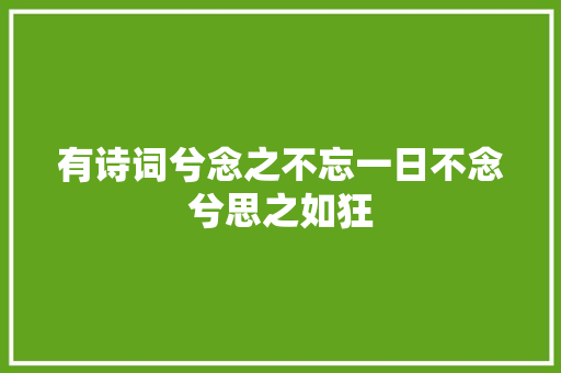 有诗词兮念之不忘一日不念兮思之如狂