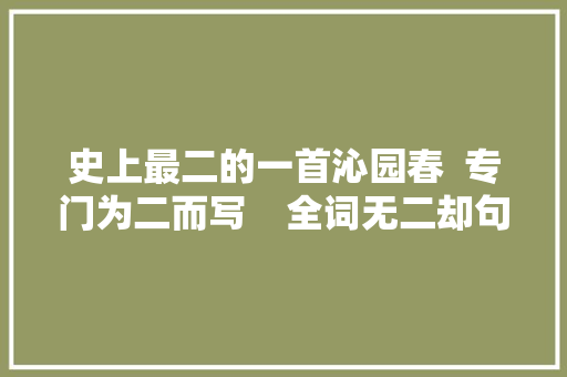 史上最二的一首沁园春  专门为二而写    全词无二却句句咏二