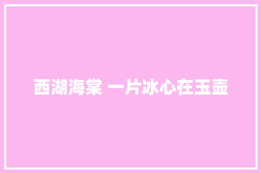 西湖海棠 一片冰心在玉壶