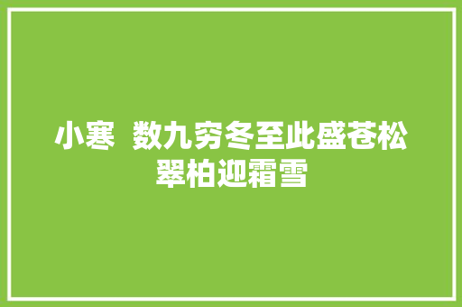 小寒  数九穷冬至此盛苍松翠柏迎霜雪
