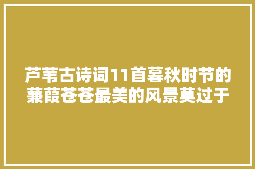 芦苇古诗词11首暮秋时节的蒹葭苍苍最美的风景莫过于暮秋芦苇