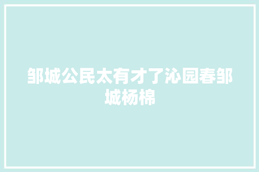 邹城公民太有才了沁园春邹城杨棉