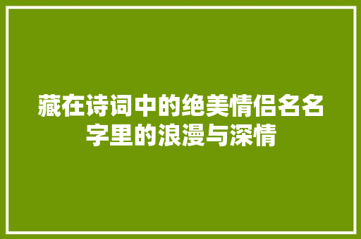 藏在诗词中的绝美情侣名名字里的浪漫与深情