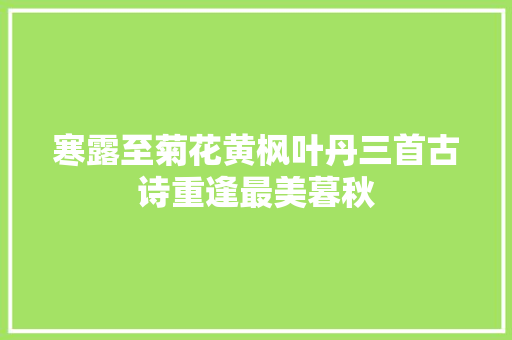 寒露至菊花黄枫叶丹三首古诗重逢最美暮秋