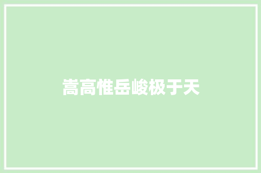 嵩高惟岳峻极于天