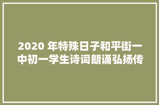 2020 年特殊日子和平街一中初一学生诗词朗诵弘扬传统文化激