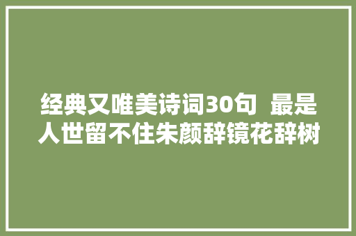 经典又唯美诗词30句  最是人世留不住朱颜辞镜花辞树