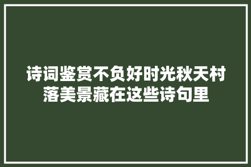 诗词鉴赏不负好时光秋天村落美景藏在这些诗句里