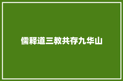 儒释道三教共存九华山