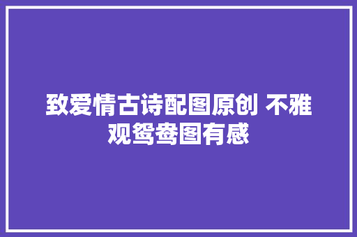 致爱情古诗配图原创 不雅观鸳鸯图有感