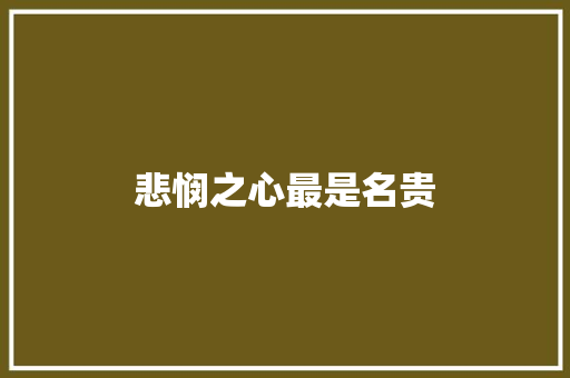 悲悯之心最是名贵