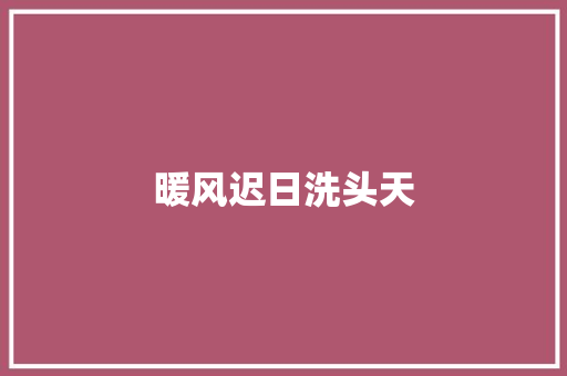 暖风迟日洗头天