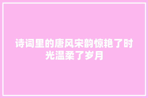 诗词里的唐风宋韵惊艳了时光温柔了岁月