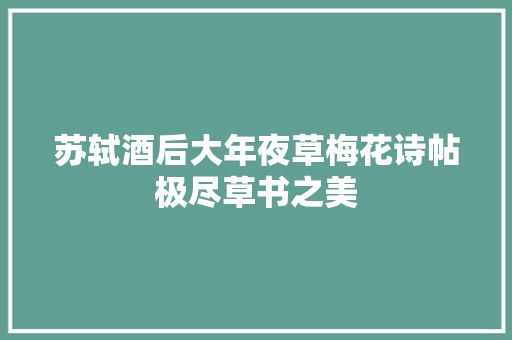 苏轼酒后大年夜草梅花诗帖极尽草书之美