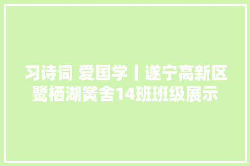 习诗词 爱国学丨遂宁高新区鹭栖湖黉舍14班班级展示