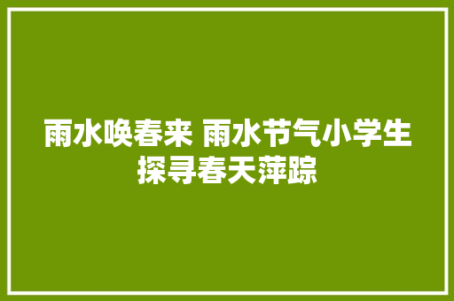 雨水唤春来 雨水节气小学生探寻春天萍踪