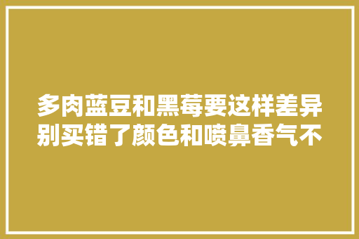 多肉蓝豆和黑莓要这样差异别买错了颜色和喷鼻香气不一样