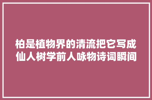 柏是植物界的清流把它写成仙人树学前人咏物诗词瞬间嵬峨上