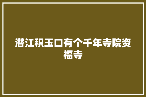 潜江积玉口有个千年寺院资福寺