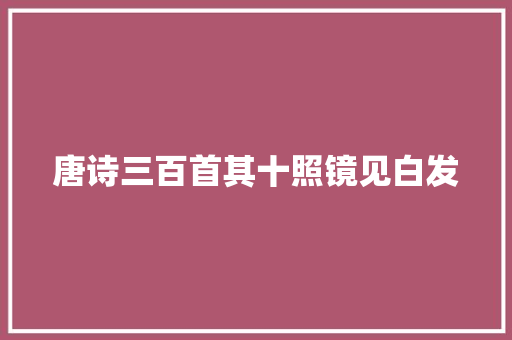 唐诗三百首其十照镜见白发