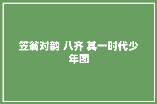 笠翁对韵 八齐 其一时代少年团