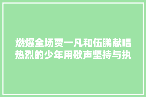 燃爆全场贾一凡和伍鹏献唱热烈的少年用歌声坚持与执着