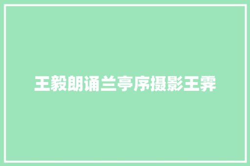 王毅朗诵兰亭序摄影王霁