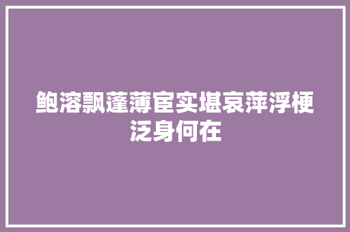 鲍溶飘蓬薄宦实堪哀萍浮梗泛身何在