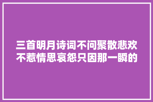 三首明月诗词不问聚散悲欢不惹情思哀怨只因那一瞬的美丽