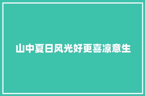 山中夏日风光好更喜凉意生