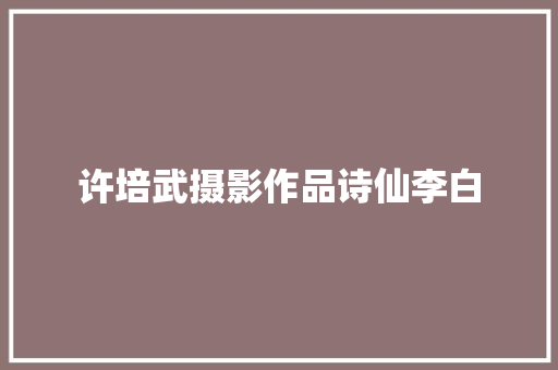 许培武摄影作品诗仙李白