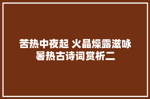 苦热中夜起 火晶燥露滋咏暑热古诗词赏析二
