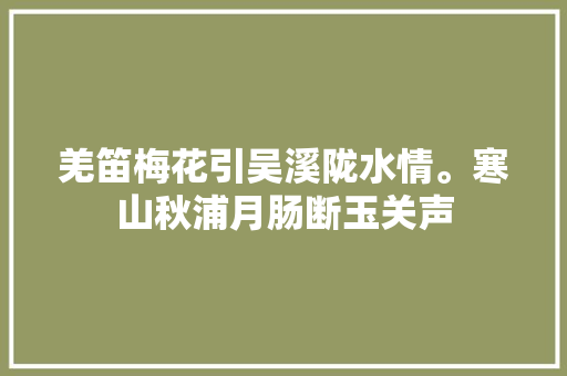 羌笛梅花引吴溪陇水情。寒山秋浦月肠断玉关声