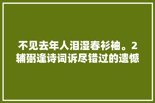 不见去年人泪湿春衫袖。2辅弼逢诗词诉尽错过的遗憾