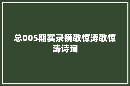 总005期实录镜敬惊涛敬惊涛诗词