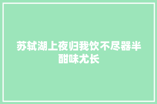 苏轼湖上夜归我饮不尽器半酣味尤长