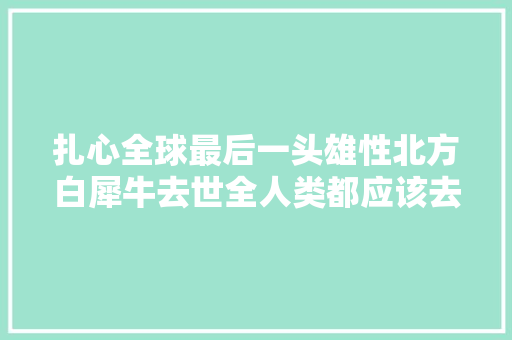 扎心全球最后一头雄性北方白犀牛去世全人类都应该去反思