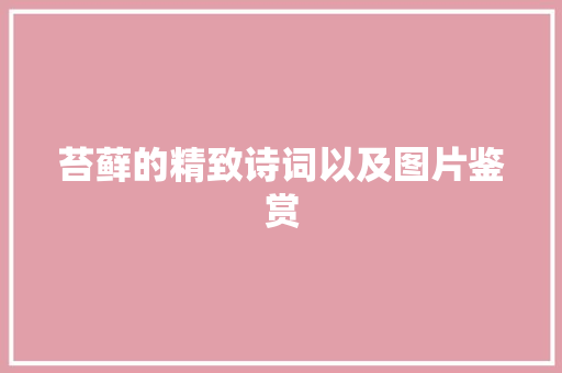 苔藓的精致诗词以及图片鉴赏